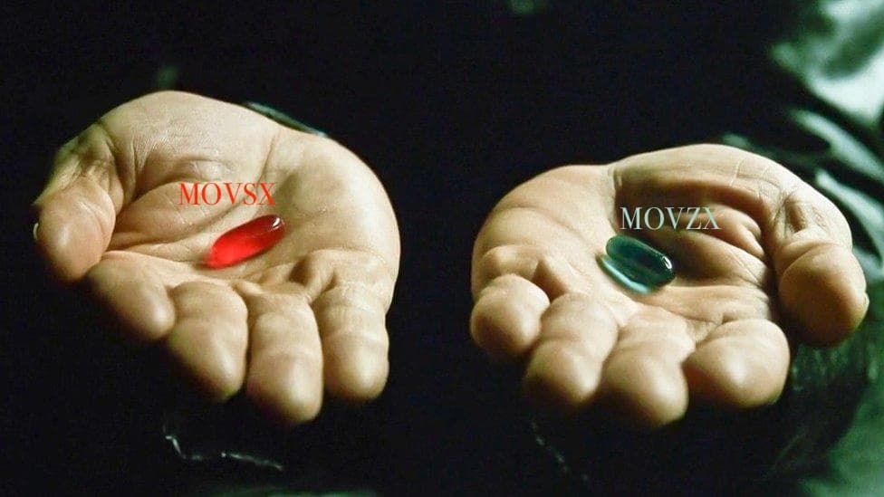 Le dilemme absolu entre movsx et movzx en Assembly